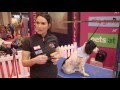 Furminator Demo - Crufts 2016