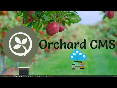 Creating a Multi-Tenant SaaS Web Hosting Service with the Orchard Core CMS Framework