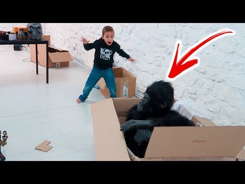 PRANK - Swan attaqué par un gorille ! 🦍😱