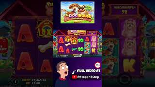 HUGE WIN!! Dog House Megaways 100