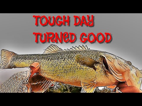 TOUGH DAY TURNED GOOD