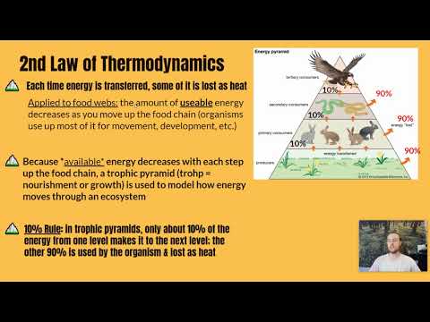 APES Notes 1.9 & 1.10 - Trophic Levels & The 10% Rule