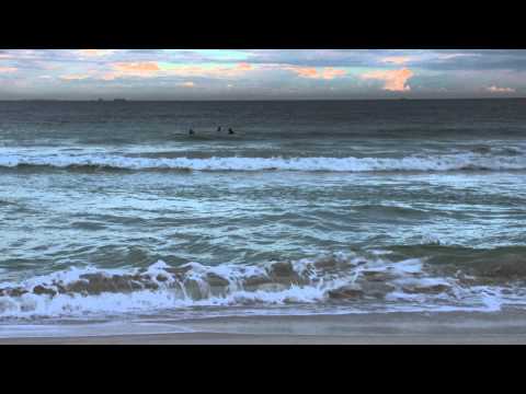 Why Sharks Attack - BLUE 2014: Broadcast TV Program Honorable Mention