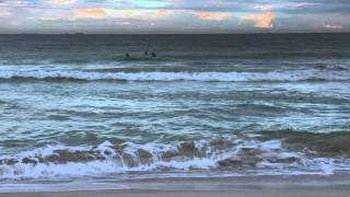 Why Sharks Attack - BLUE 2014: Broadcast TV Program Honorable Mention