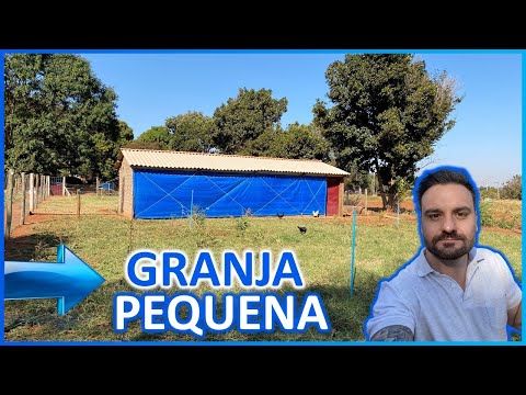 , title : 'Como começar uma granja de pequeno porte: 5 passos iniciais'