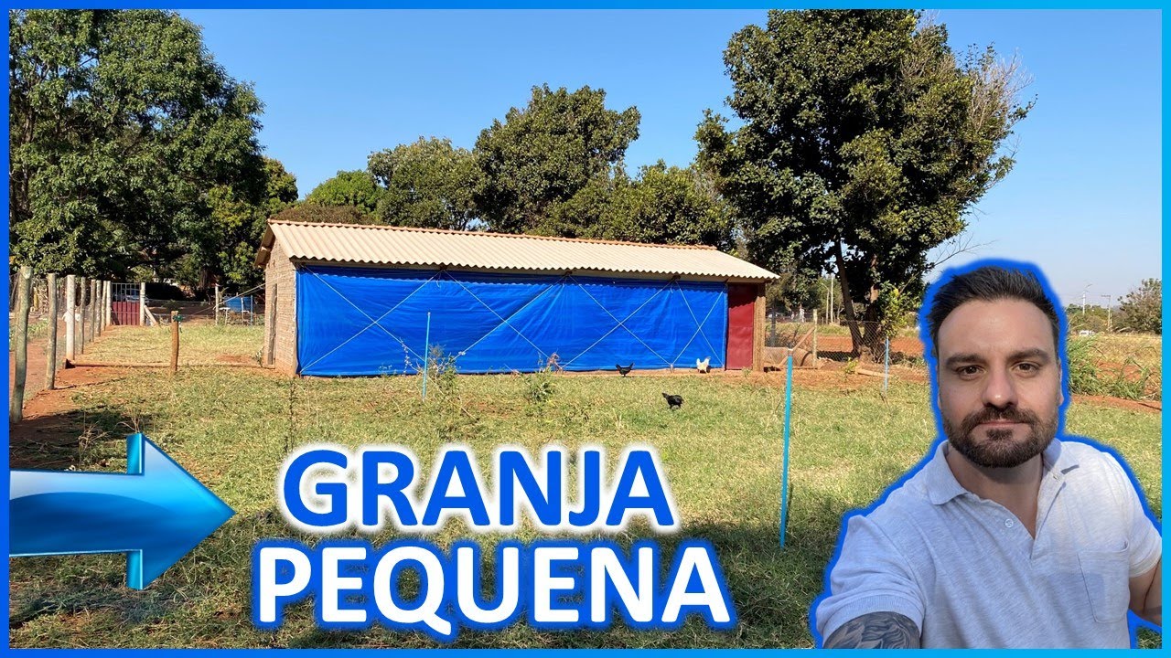 Como começar uma granja de pequeno porte: 5 passos iniciais