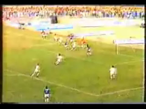 Gol de Flávio Roberto