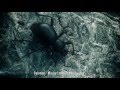 RED Art Videos Showreel