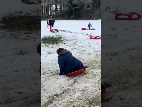 Killermichel fährt mit Schlitten