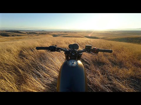 If this is not freedom, I don't know what freedom is