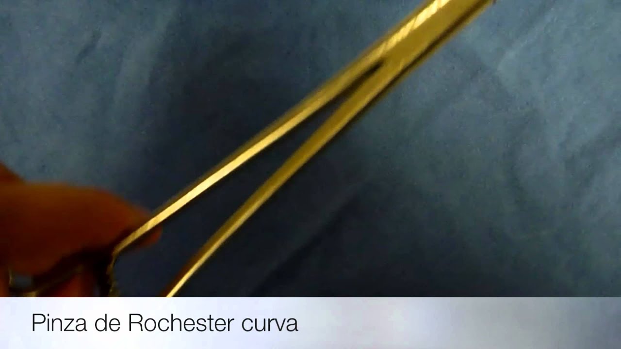 Pinza de Rochester curva