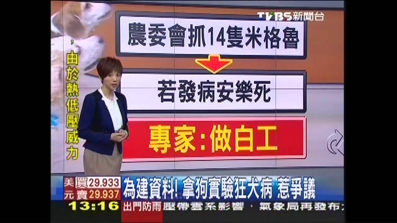 為建資料!拿狗實驗狂犬病 惹爭議