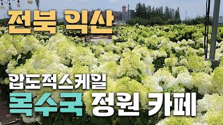 전북에서 제대로 입소문 탄 대형 목수국 카페! 어딜가던 포토존으로 가득한 곳