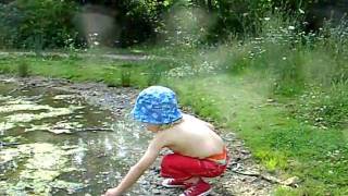 Odysseus (Bean) happily algae flicking & pebble chucking, 31st July 2011