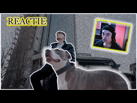 Dubla reactie. "Berechet"-Haita de actiune.