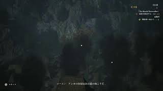 ソロゲー好きのお疲れ屋 のんびりまったりプレイ ザ ブラッド オブ ドーンウォーカー #3