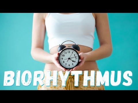 BIORHYTHMUS: Der SCHLÜSSEL zu MOTIVATION, KONZENTRATION + ZEITMANAGEMENT