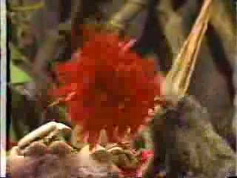 Home video