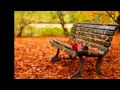 Main Yahan Tu Wahan With Lyrics