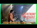 The Lightning Seeds  - You Showed Me (1996) lyrics