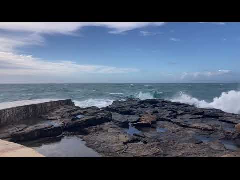 Colonia de Sant Jordi 2026 01 23