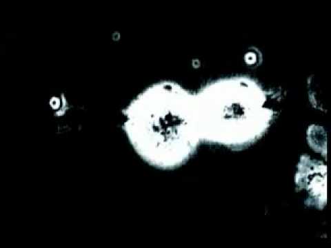 JL Matarese - GRANULAR OSMOSE WRITING - TinToleLata