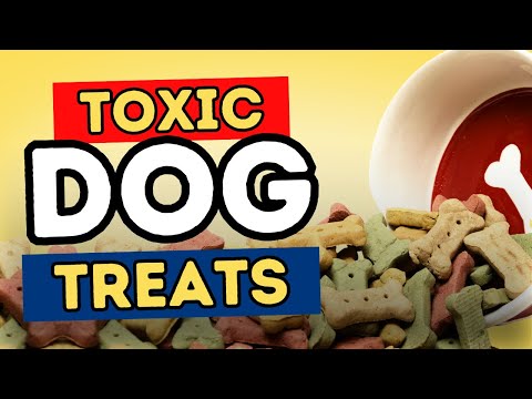 Toxic Dog Treats You Should NEVER Give Your Pet