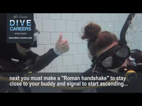 SKILL CIRCUIT ALTERNATE AIR SOURCE