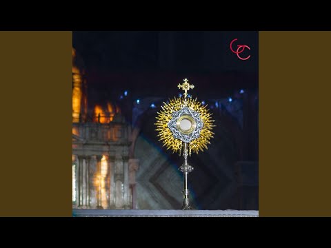 Cristo Llénanos de Ti