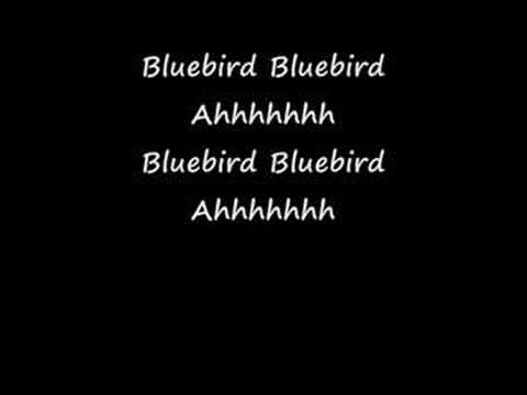 Bluebird - With Lyrics - Paul McCartney & Wings