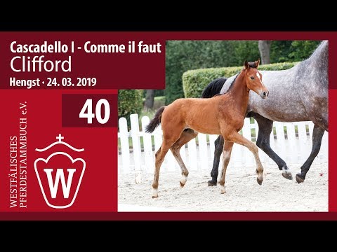 40 Clifford Hengst v. Cascadello I - Comme il faut