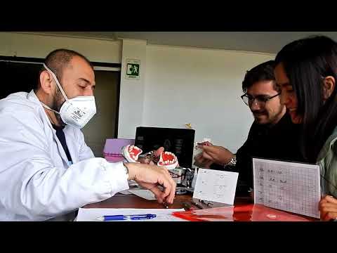 UniCieo - Fundación Universitaria CIEO