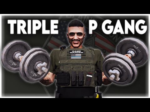 SA'F | The Animal Scandal