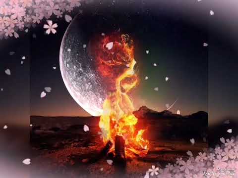 Bro Sound System-Шмель