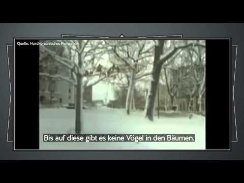 Circus HalliGalli: Neues aus Nordkorea