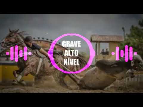 VIVENDO DE VAQUEJADA - TARCÍSIO DO ACORDEON (COM GRAVE)