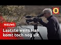 Familie en vrienden maken film overleden vriend af | Omroep Brabant