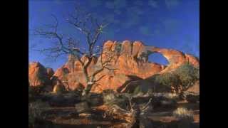 When the Last Tree - Kelly Family