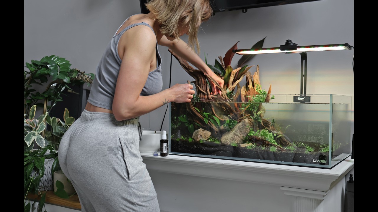 All Planted | LANDEN 75S Aquascape Complete 🌿 Final Reveal (Pt. 3)