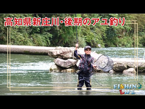 高知県新庄川 後期のアユ攻略