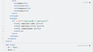 Download the video "Accessing the loop index with v-for directive"
