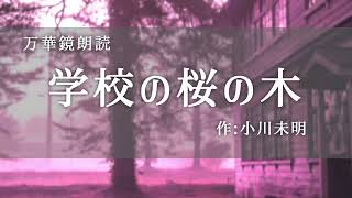 【朗読】『学校の桜の木』作：小川未明