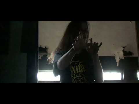 Video thumbnail for animalia