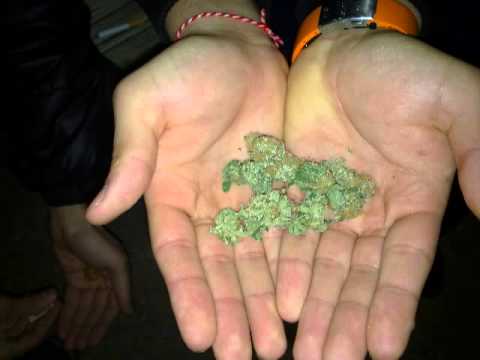 Spens Tim'o.Dimna.zavesa (RMX)