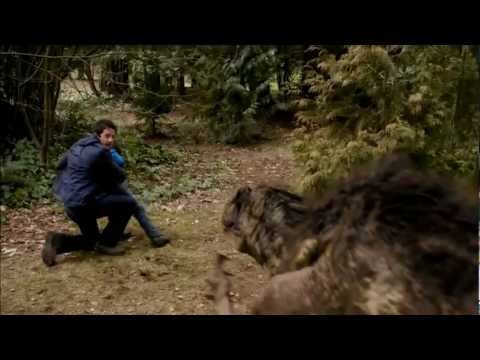 Primeval: New World (2012-2013)