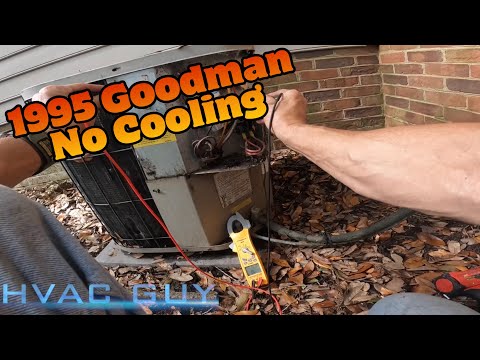 1995 Goodman Still Kickin’ It