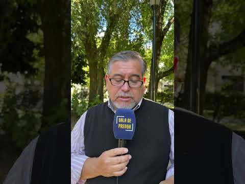 La esforzada labor de ayuda para los animales damnificados tras megaincendio en el Biobío