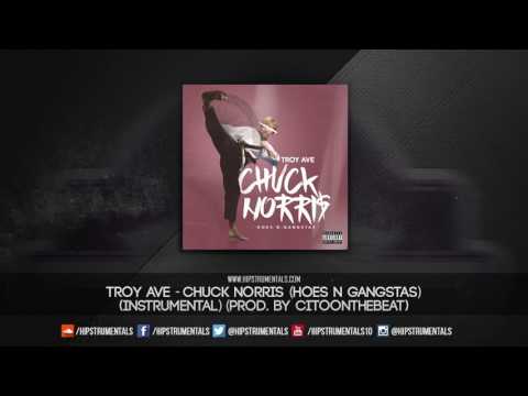Troy Ave - Chuck Norris (Hoes N Gangstas ) [Instrumental] (Prod. By CitoOnTheBeat)