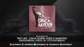 Troy Ave - Chuck Norris (Hoes N Gangstas ) [Instrumental] (Prod. By CitoOnTheBeat)