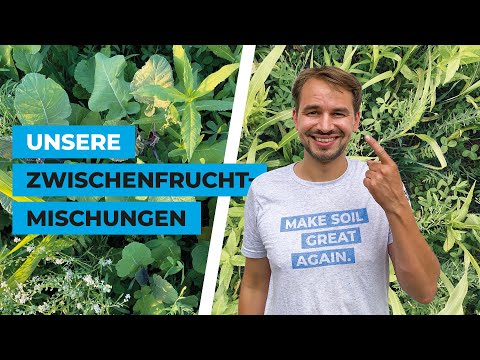 Unsere Zwischenfruchtmischungen